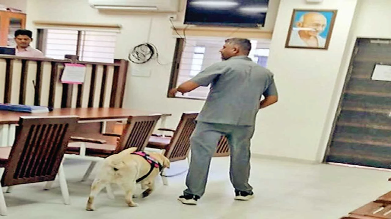 Rajkot: કોર્ટને સતત 8મી વખત બોમ્બથી ઉડાવી દેવાની ઈ-મેઈલ દ્વારા ધમકી મળી