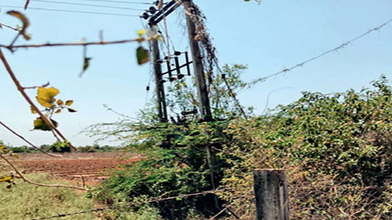 હિંમતનગર મોરાલીમાં UGVCL ની બેદરકારી, મેન્ટેનન્સના નામે માત્ર કાગળ પર જ કામગીરી દર્શાવાય છે.