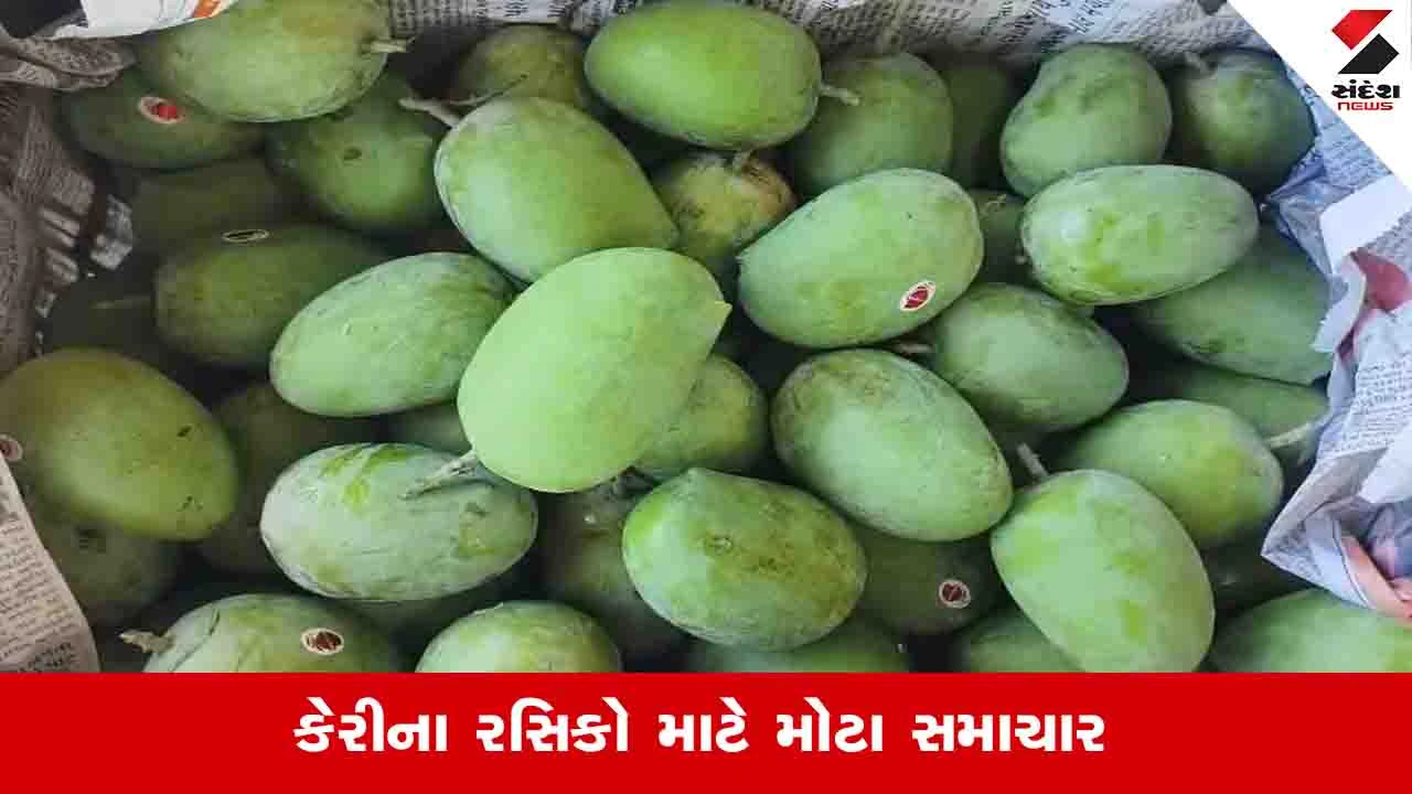 Junagadh News: માર્કેટ યાર્ડમાં કેસર કેરીની આવક શરૂ, ઉત્પાદન ઘટતાં ભાવમાં પણ મોટો તફાવત
