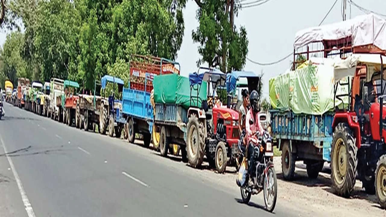 રાજ્યમાં આજથી ટેકાના ભાવે બાજરી વેચવા માટે નોંધણી શરૂ; ખેડૂતોને પોષણક્ષમ ભાવ મળશે.