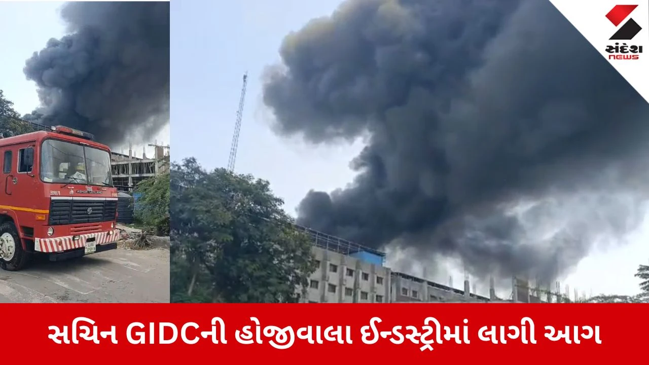 Surat News: સચિન GIDCની હોજીવાલા ઈન્ડસ્ટ્રીમાં ભીષણ આગ, કાપડની કંપનીમાં મેજર કોલ જાહેર કરાયો 