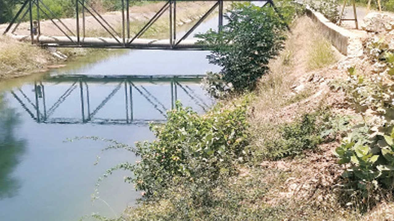 ડભોઇ પાસે નર્મદા મુખ્ય કેનાલમાં જંગલી વનસ્પતિથી મુશ્કેલી.