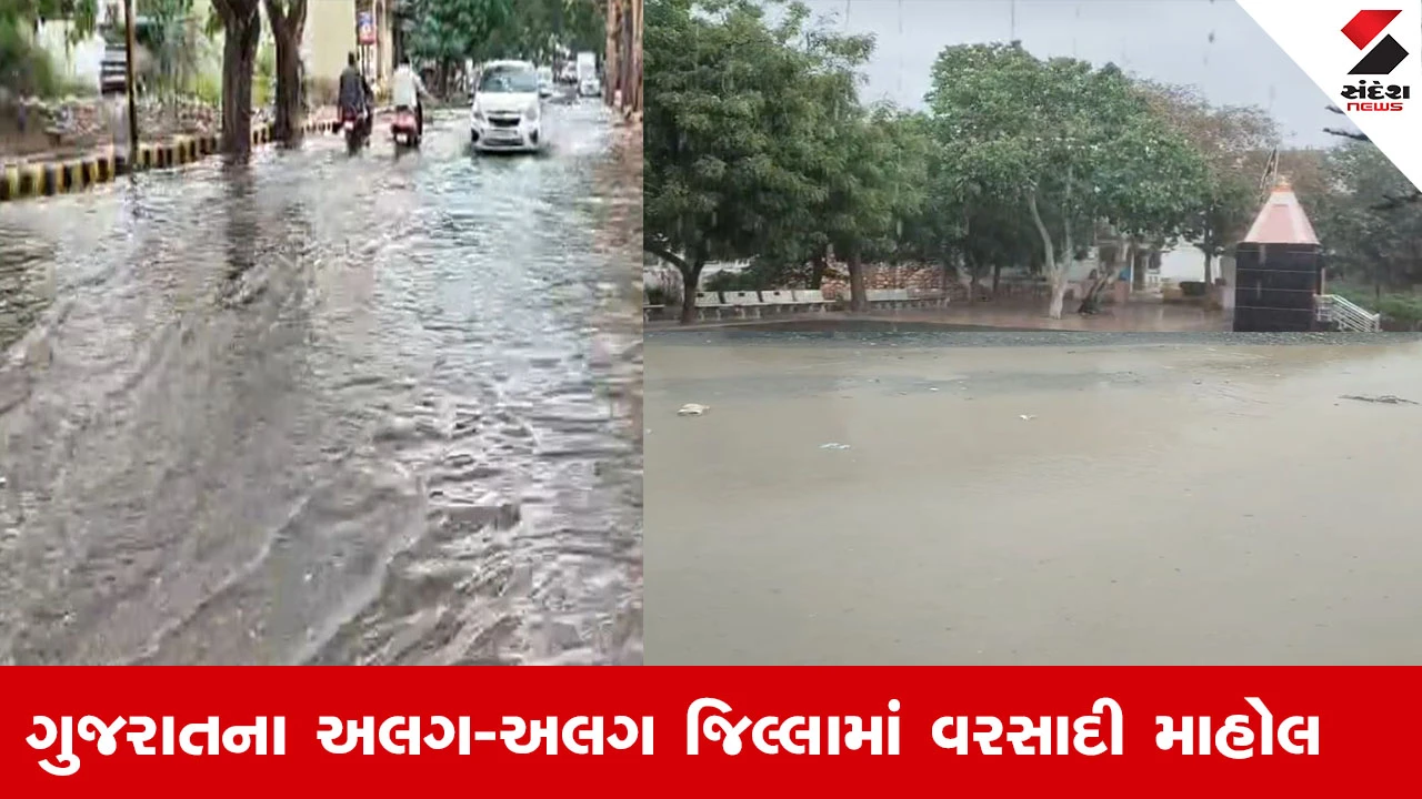 Gujarat Rain News : ગુજરાતના અલગ-અલગ જિલ્લાઓમાં વહેલી સવારથી વરસાદ, કમોસમી વરસાદથી ખેડૂતો ચિંતામાં મૂકાયા 