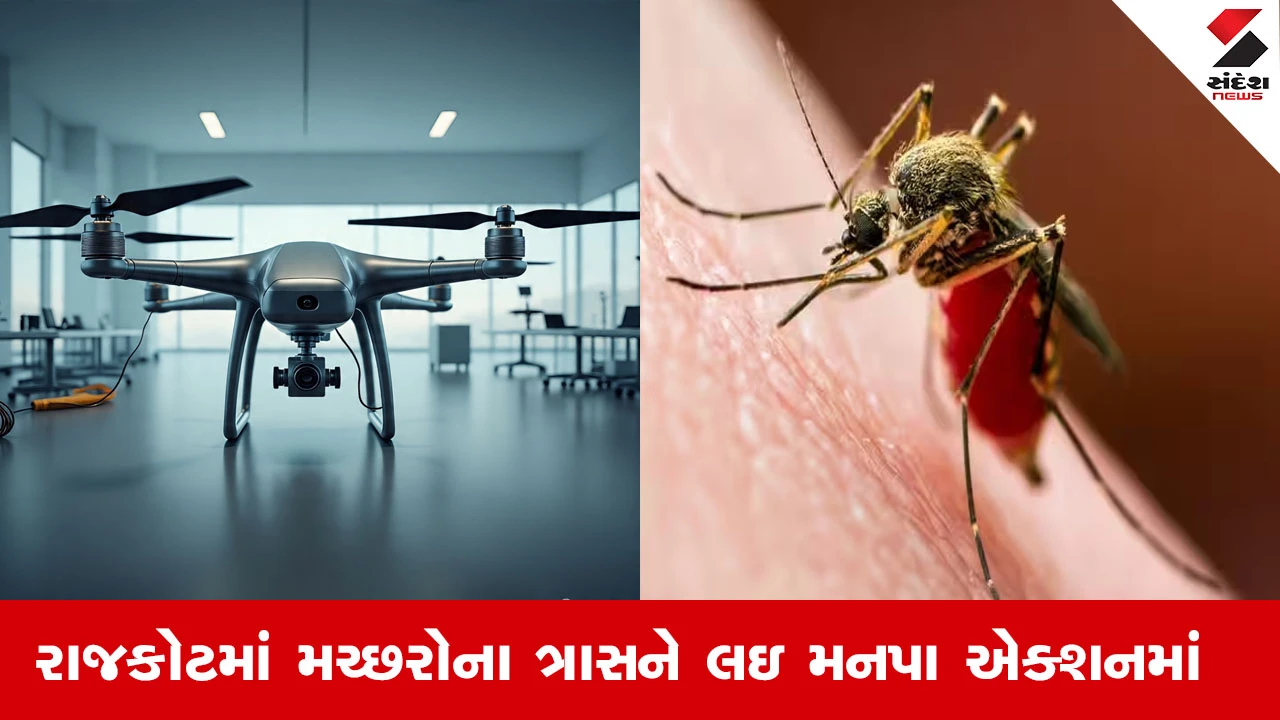 Rajkot News : રાજકોટમાં મચ્છરોના ત્રાસને લઇ મનપા એકશનમાં, મચ્છરોના ઉત્પત્તિ સ્થાનો શોધવા ડ્રોનનો કરાશે ઉપયોગ 