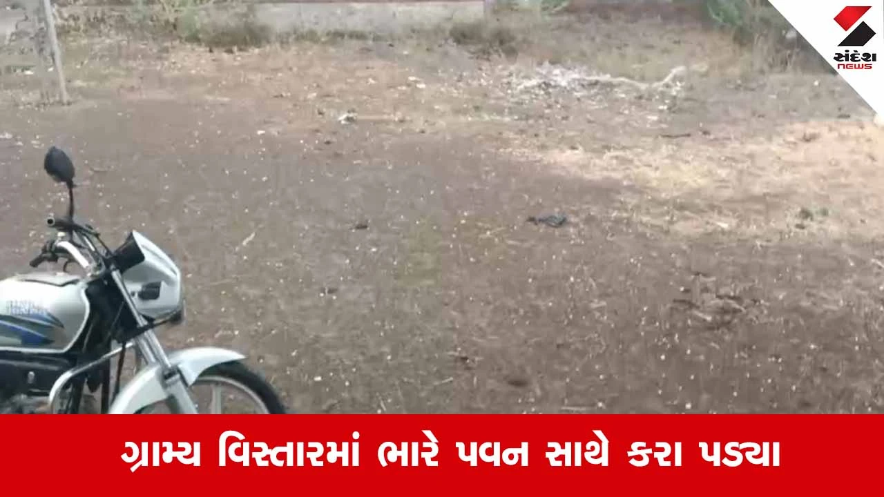 Palitana News: શહેર અને ગ્રામ્ય પંથકમાં કરા સાથે કમોસમી વરસાદ, માવઠું પડતા લસણ-કેરીના પાકને નુકસાનની ભીતિ 