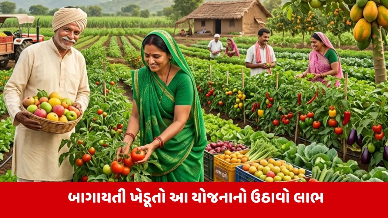 Vadodara : જિલ્લાના બાગાયતી ખેતી કરતા ખેડૂતોને વિવિધ સહાયલક્ષી યોજનાઓનો લાભ લેવા બાગાયત વિભાગની અપીલ