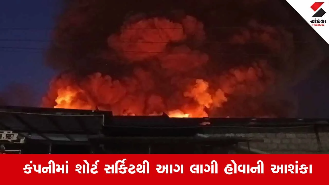 Kutchના કંડલા સ્પેશિયલ ઇકોનોમિક ઝોનમાં લાગી ભયાનક આગ, ફાયર ફાઈટરો ઘટનાસ્થળે 