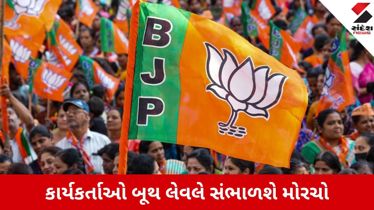 Gandhinagar : સ્થાનિક સ્વરાજની ચૂંટણીનો શંખનાદ, આવતીકાલે 5 એપ્રિલથી ભાજપનું 'ઘર ઘર સંપર્ક' અભિયાન,