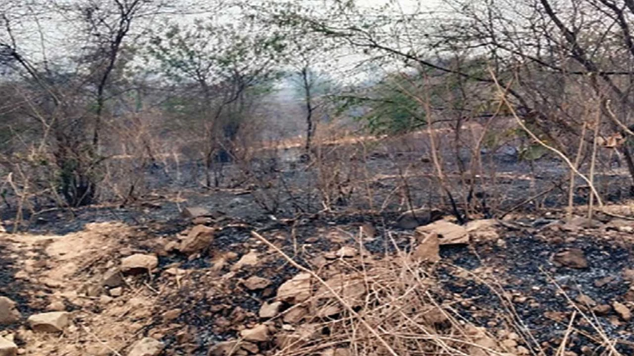 મોડાસાના વિરપુરના ખટારીયા ગામે ડુંગરમાં આગ, દોડધામ.