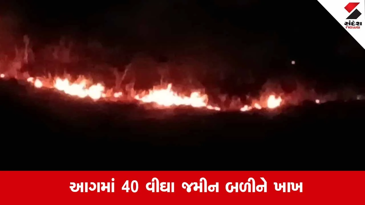 Amreliના ખાંભાના મીતીયાળા અભયારણ્ય નજીક ડુંગરમાં લાગી ભીષણ આગ, વન્યજીવો જોખમમાં 