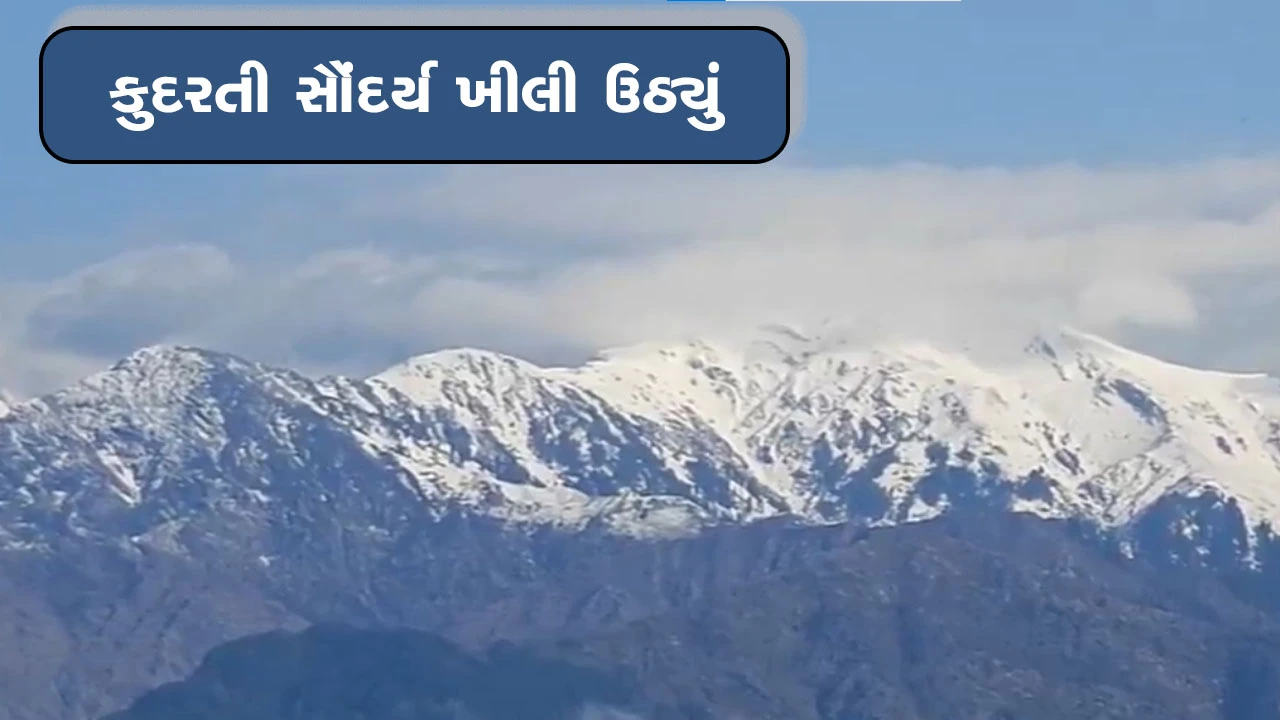 કુદરતે પૃથ્વી પર સ્વર્ગ સમાન જમ્મુ અને કાશ્મીર પર મહેરબાની કરી.