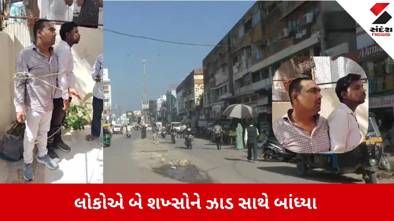 Patan News: ઘરેણા સાફ કરવાના બહાને છેતરપિંડીની શંકાએ બે શખ્સોને ઝાડ સાથે બાંધ્યા, Video થયો વાયરલ 