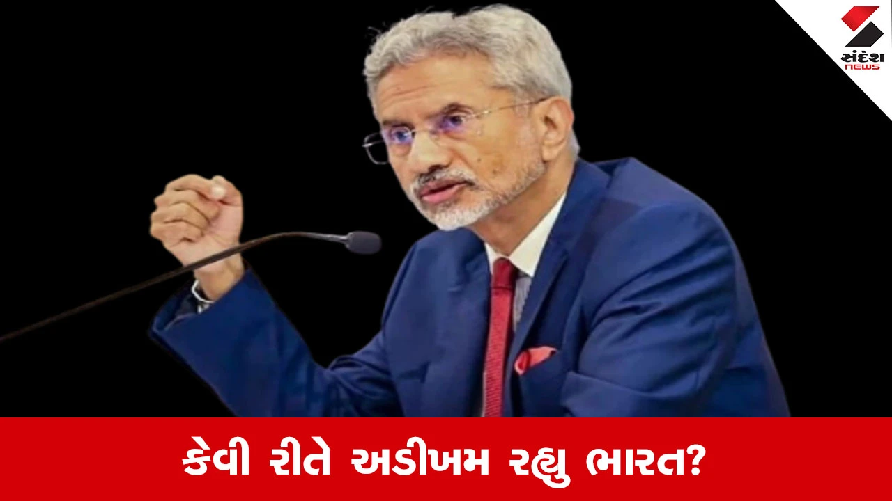 દુનિયાના મોટા આંચકાઓ વચ્ચે ભારત કેવી રીતે અડીખમ રહ્યું?