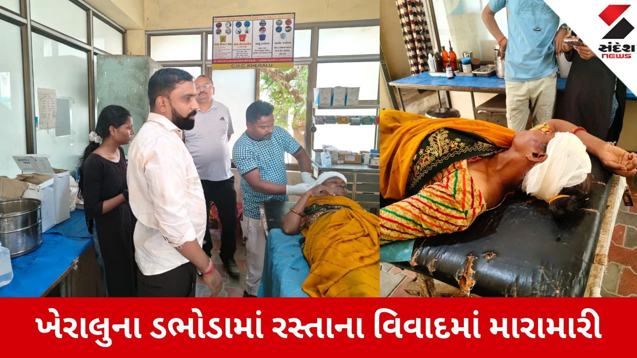 ખેરાલુના ડભોડામાં રસ્તાના વિવાદમાં લોહીયાળ સંઘર્ષ, મહિલાઓ પર ધારિયાથી હુમલો.