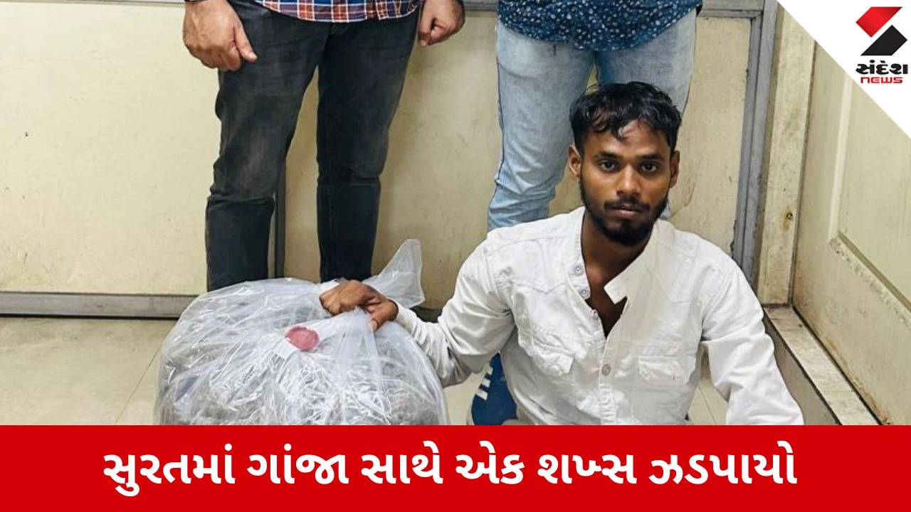 Surat: ઓડિશાથી લાવવામાં આવેલ 8 લાખના ગાંજા સાથે એક શખ્સ ઝડપાયો 