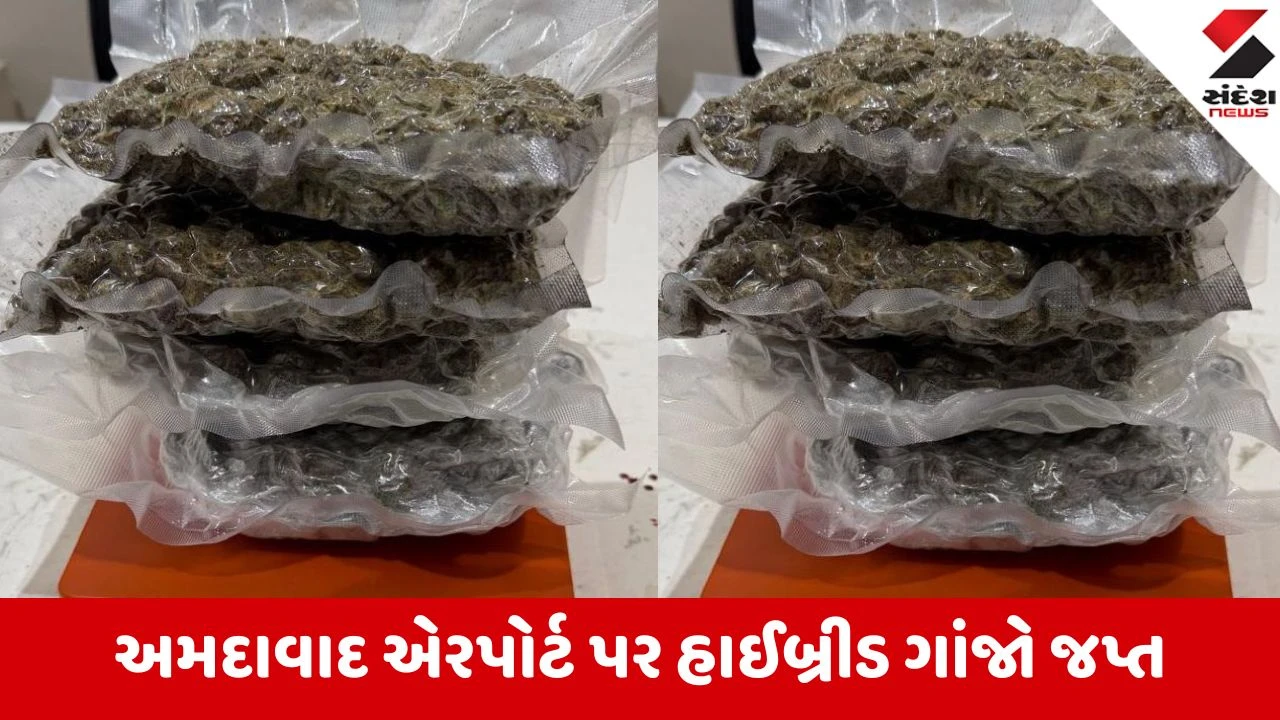 અમદાવાદ એરપોર્ટ પર કસ્ટમ વિભાગની કાર્યવાહી: બેંગકોકથી આવેલો 1.10 કિલો હાઈબ્રીડ ગાંજો જપ્ત.
