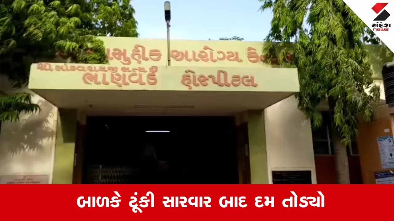 Dwarkaના ભાણવડમાં રખડતા શ્વાનનો આતંક, 5 વર્ષના માસૂમ બાળકને બચકું ભરતા નીપજ્યું કરુણ મોત