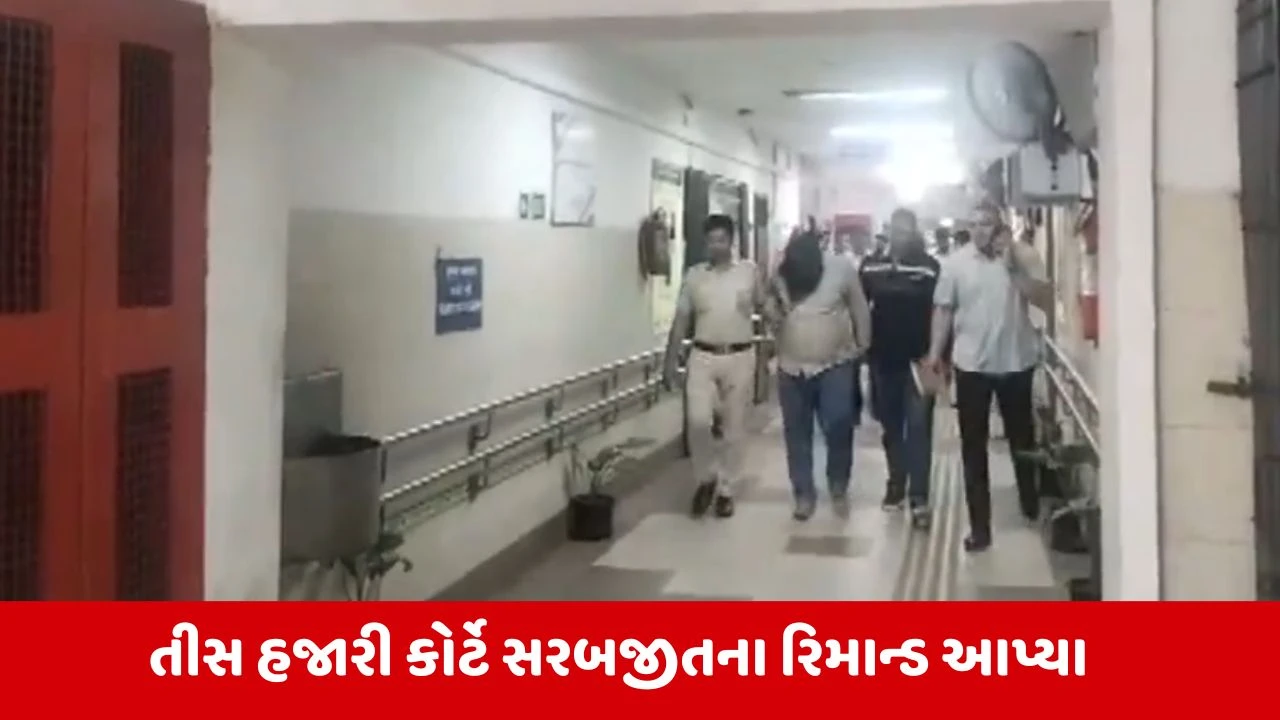 Delhi વિધાનસભા સુરક્ષા ભંગ કેસ, કોર્ટે આરોપી સરબજીતના રિમાન્ડ કર્યા મંજૂર 