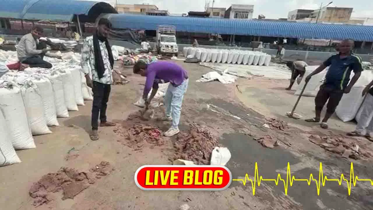 Gujarat Latest News Live : માવઠાને કારણે ઊંઝા APMCમાં ખુલ્લામાં રાખેલો મસાલા પાક પલળી ગયો, મોટા પાયે નુકસાનની ભીતિ 