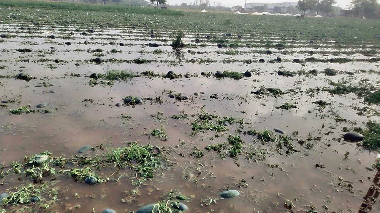 માવઠા પછી મોડાસા પંથકમાં અંધારપટ છવાયો એટલે કે વીજળી ગુલ થઈ ગઈ.