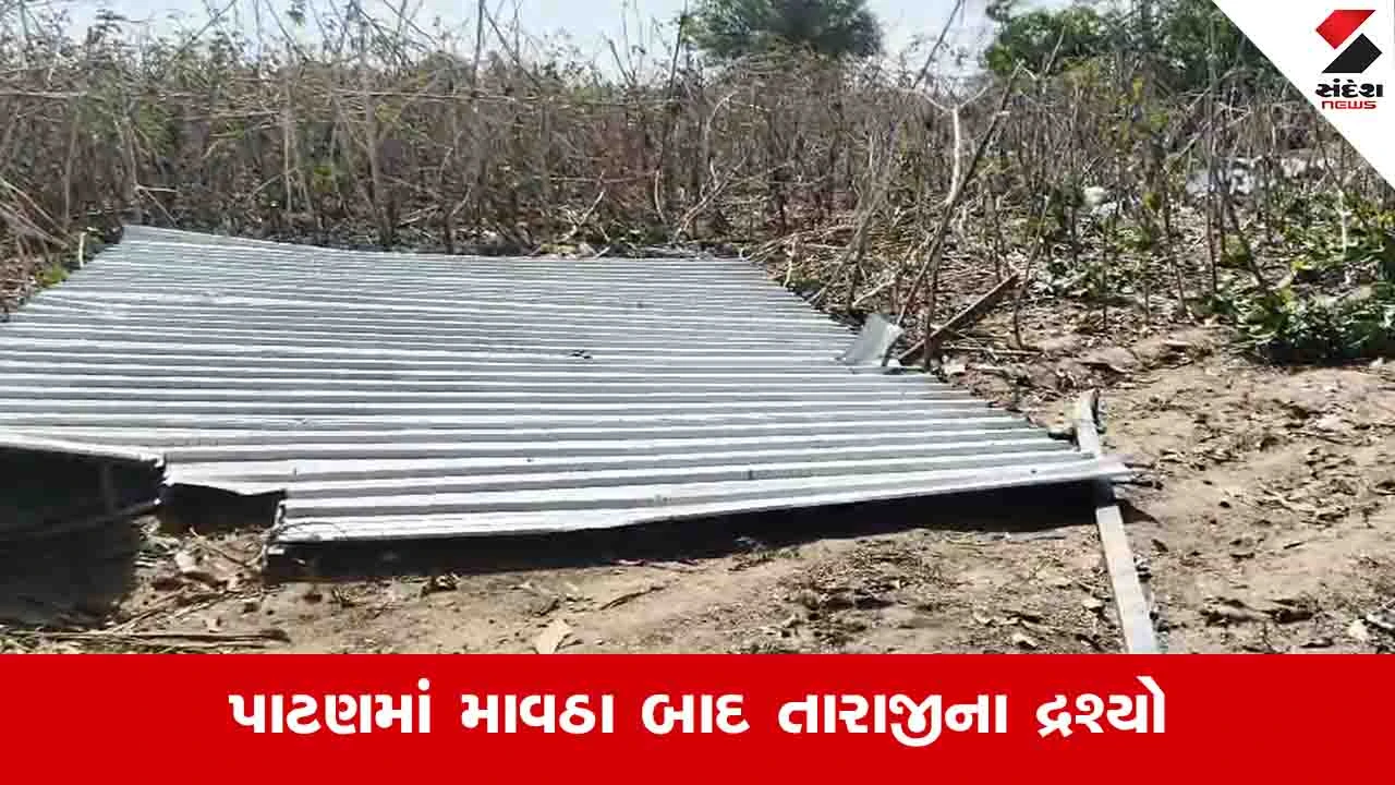 Patan News : લક્ષ્મીપુરા ગામમાં ગઈકાલે ભારે પવન અને માવઠાને કારણે 20 મકાનોના છાપરા ઉડ્યા, વૃક્ષો ધરાશાયી થયાં