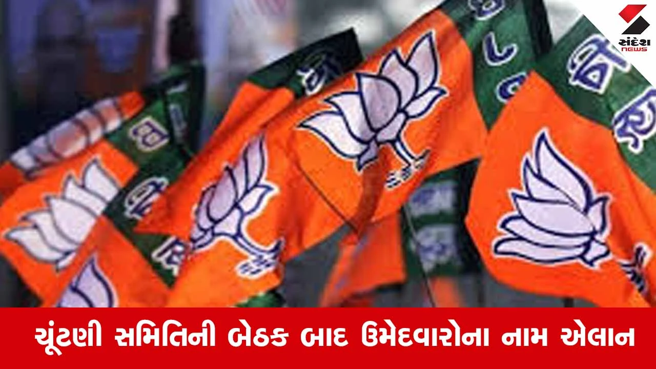 Gujarat Local Body Election 2026: દાહોદ જિલ્લા પંચાયત માટે ઉમેદવારો જાહેર, પ્રદેશ ચૂંટણી સમિતિની બેઠકમાં મંજૂરી 