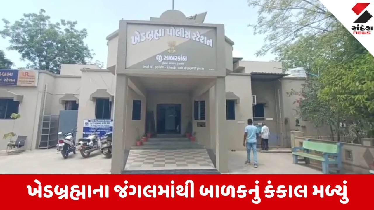 Khedbrahma: ઘાટી ડુંગરના જંગલમાંથી 15 વર્ષના કિશોરનું કંકાલ મળતા ખળભળાટ, પુસ્તકો અને કપડાં પરથી ભેદ ઉકેલવા પોલીસની કવાયત 