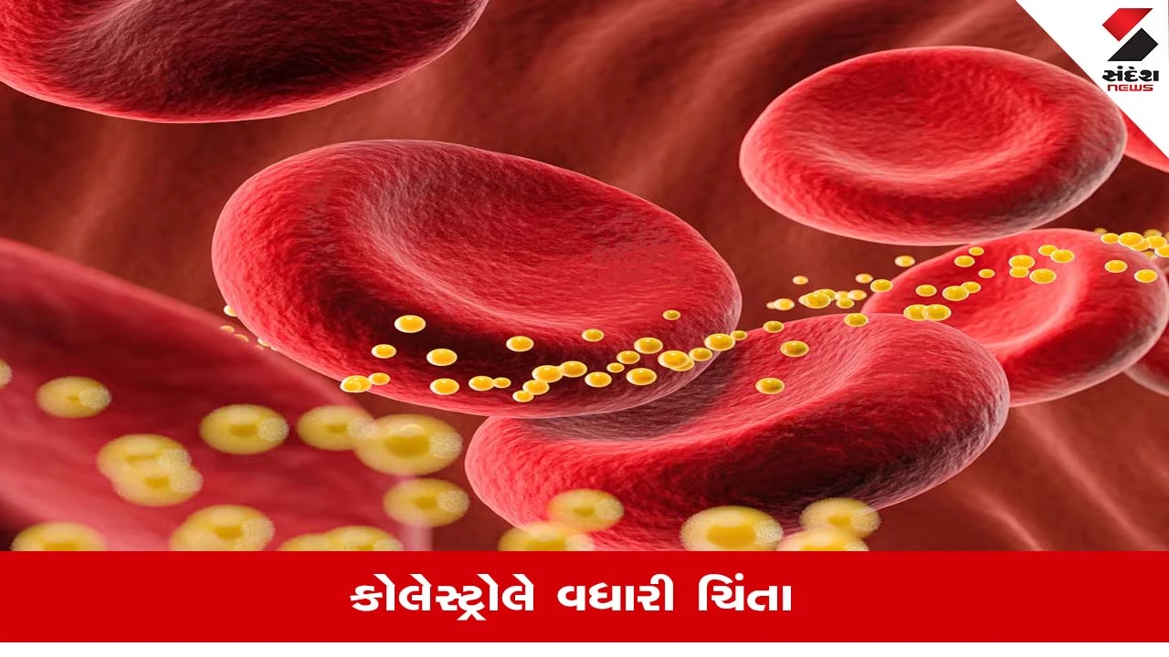 Cholesterol નિયંત્રણ માટે માછલીનું તેલ કેટલુ અસરકારક, જાણો શું કહે છે નિષ્ણાતો?