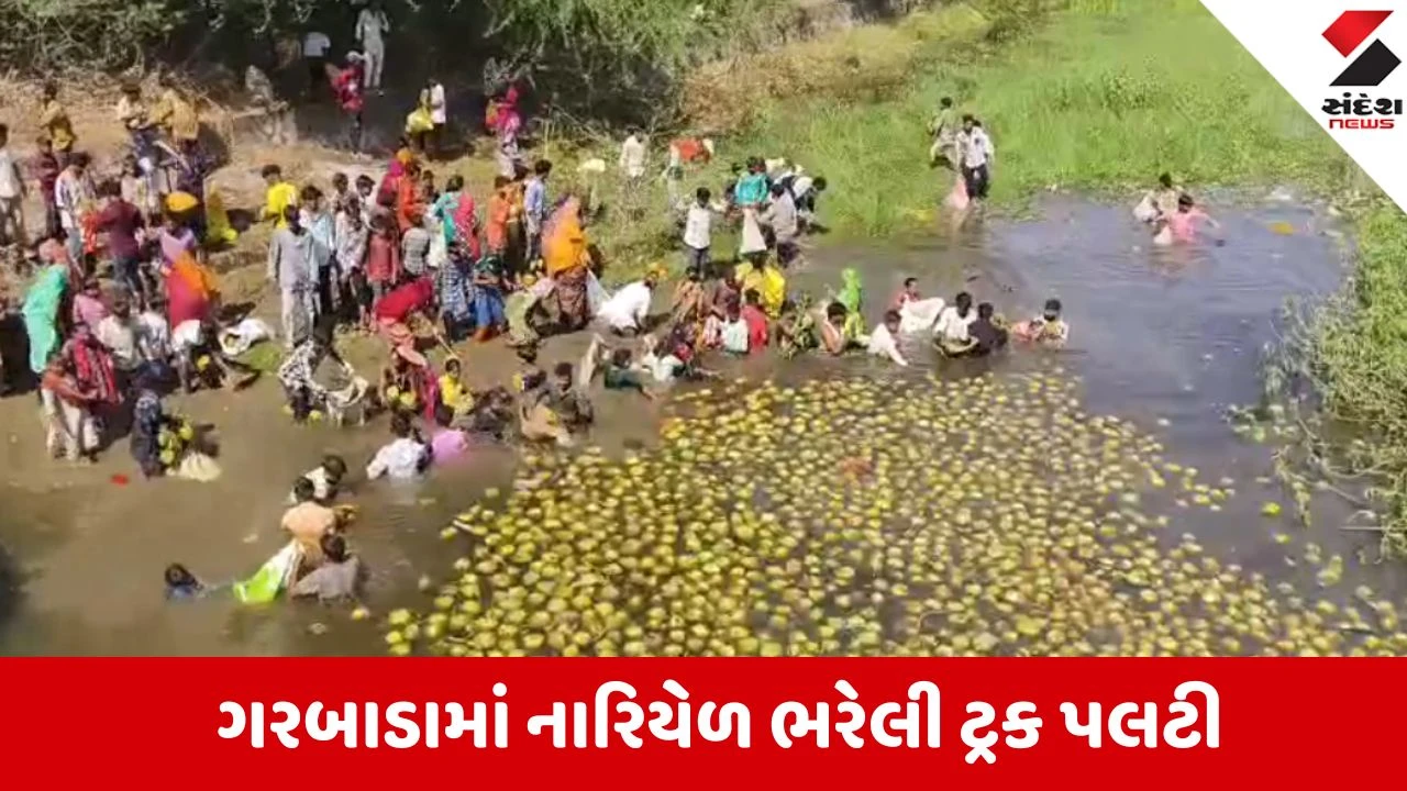 Dahod: ગરબાડામાં નારિયેળ ભરેલી ટ્રક પલટતા લોકોની લૂંટ, ઇજાગ્રસ્ત ડ્રાઈવરને મદદ કરવાને બદલે નારિયેળ ચોરવામાં મશગૂલ 