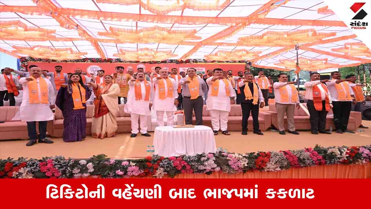 Local body election : ટિકિટોની વહેંચણી બાદ ભાજપમાં ડખા, ડેમેજ કંટ્રોલ માટે પ્રદેશના નેતાઓને મેદાનમાં ઉતરવું પડ્યું