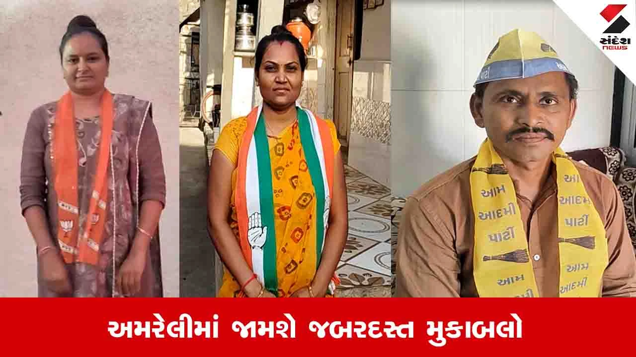 અમરેલી ન્યૂઝ: નગરપાલિકા વોર્ડ નં. 9માં દેરાણી-જેઠાણી, વોર્ડ નં. 11માં દિયર-ભાભી વચ્ચે ચૂંટણી જંગ!