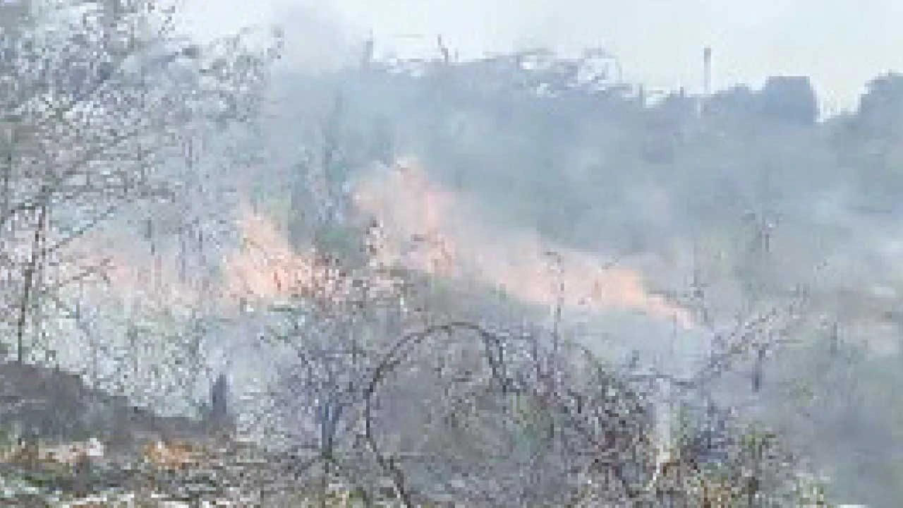 વડોદરા: જરોદ હાઇવે પર રવિવારે બપોરે આગ લાગી.