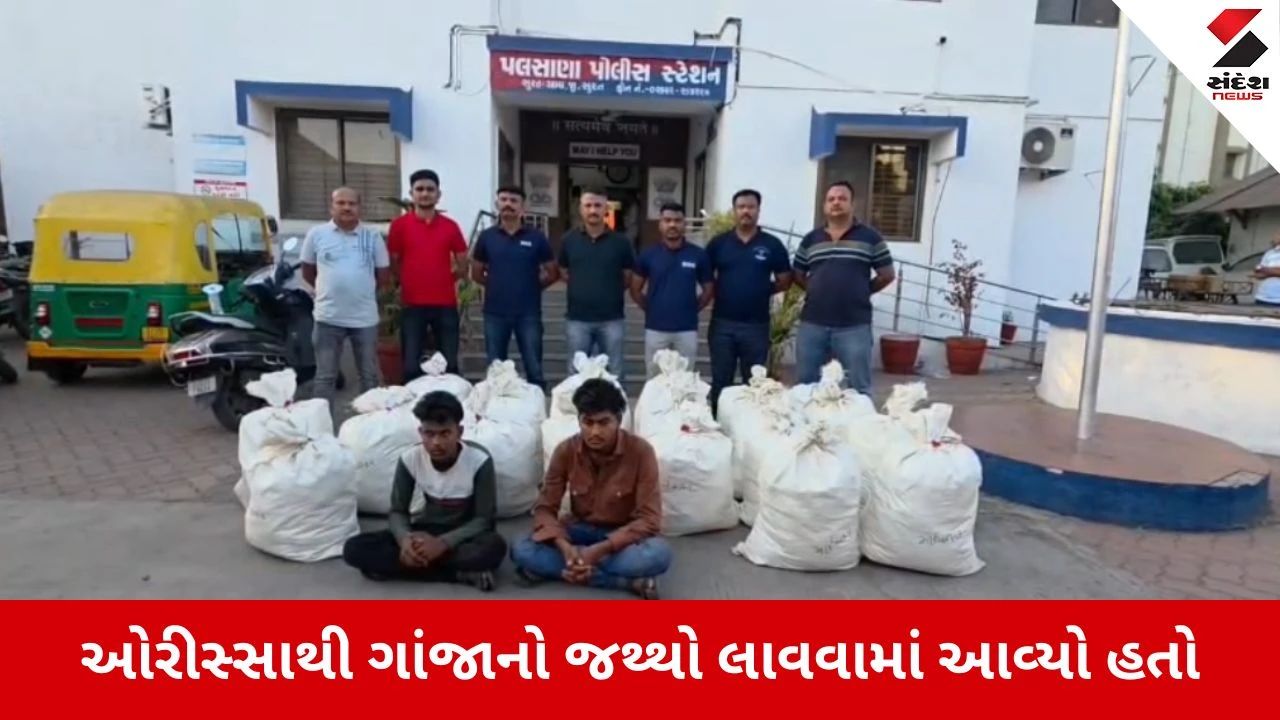 Surat : ઓરિસ્સાથી ટ્રકના 'ચોરખાના'માં છુપાવી લવાતો 321 કિલો ગાંજો ઝડપાયો, 1.76 કરોડનો મુદ્દામાલ જપ્ત 