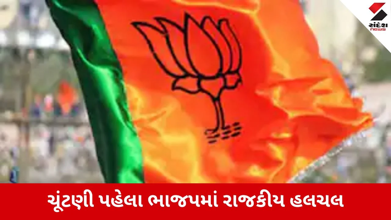 Local Body Elections 2026 : કેશોદમાં ચૂંટણી પહેલા જ ભડકો, યુવા ભાજપ મંત્રી મયુર વઘાસિયાએ આપ્યું રાજીનામું, આંતરિક જૂથવાદ ચરમસીમાએ