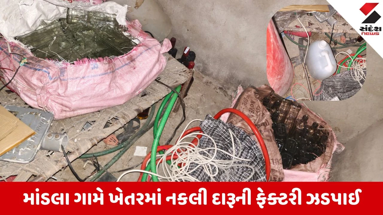 Banaskantha News: ગાંધીના ગુજરાતમાં દારૂબંધી માત્ર કાગળ પર જ, માંડલા ગામે ઝડપાઈ નકલી દારૂની ફેક્ટરી