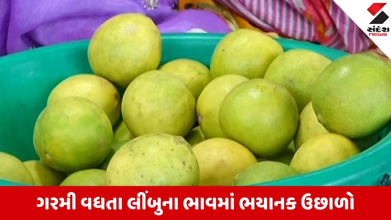 Rajkot News: લીંબુના ભાવમાં ભડકો, 15 દિવસમાં 70 રૂપિયાનો અસહ્ય વધારો, ગૃહિણીઓનું બજેટ ખોરવાયું! 