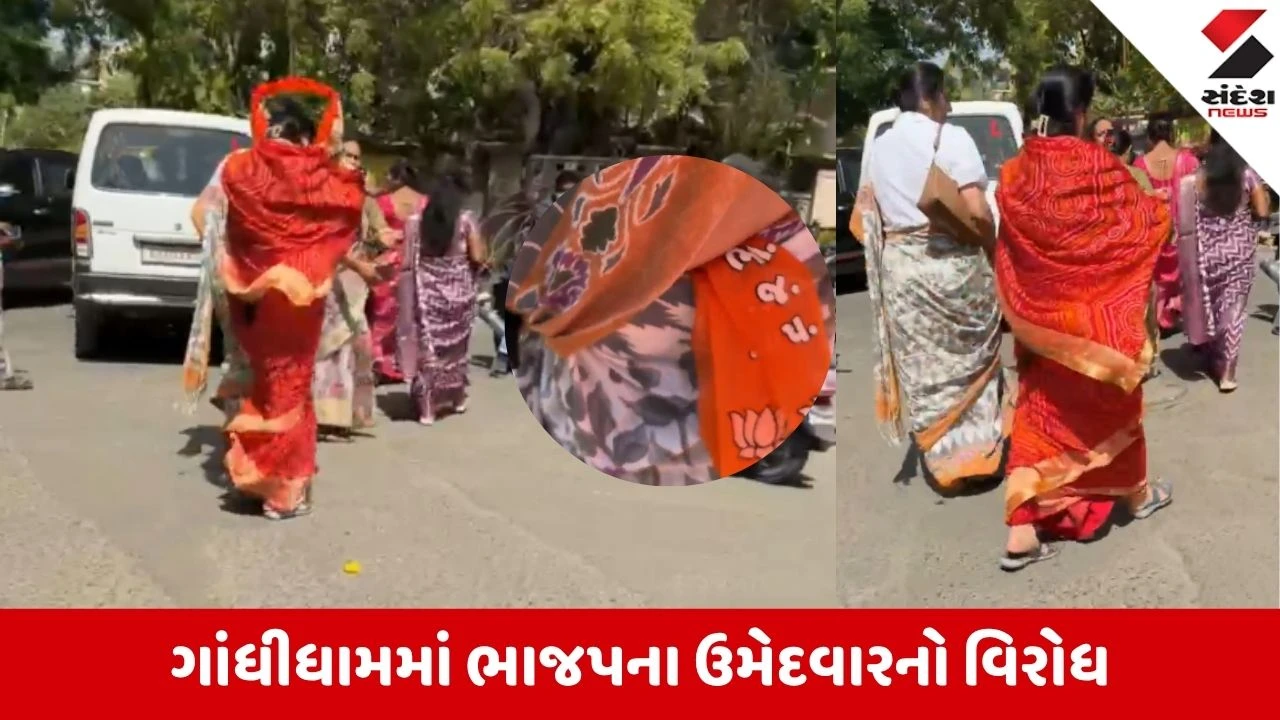 Kutch News: બાબા સાહેબની જન્મ જયંતિની ઉજવણીમાં વિરોધ, ભાજપ કાર્યકરો ખેસ ઉતારીને ભાગ્યા, જાણો કારણ 