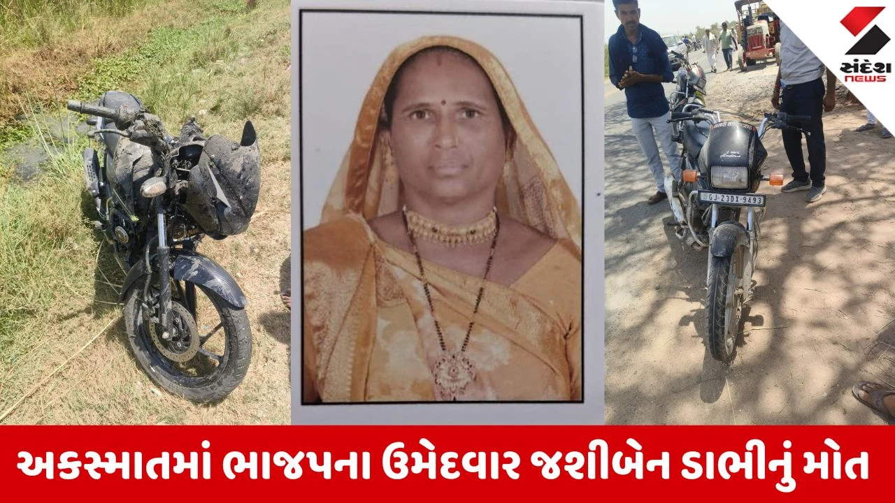 Ahmedabad News: બાવળામાં ગમખ્વાર અકસ્માત, તાલુકા પંચાયતના ભાજપના ઉમેદવાર જશીબેન ડાભીનું મોત 
