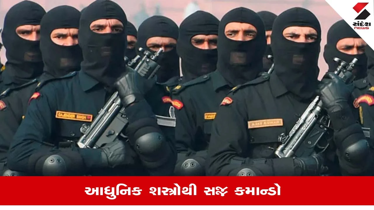 Raghav Chadha Z Security: 'Z' શ્રેણીની સુરક્ષા કેવી રીતે મળે છે અને તેનો કેટલો થાય છે ખર્ચ?, જાણો 