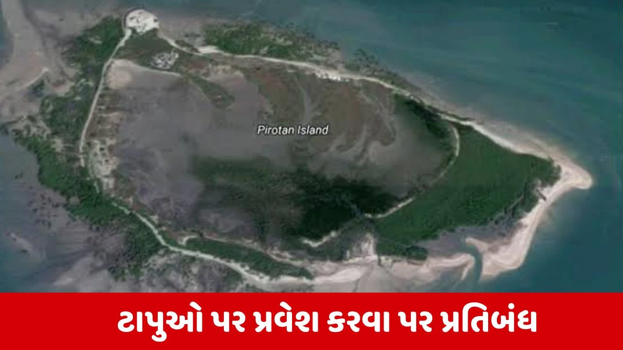Jamnagar જિલ્લાના 12 ટાપુઓ પર પ્રવેશ અંગે પ્રતિબંધ જાહેર કર્યો, અધિક જિલ્લા મેજિસ્ટ્રેટે જાહેરનામું બહાર પાડ્યું 