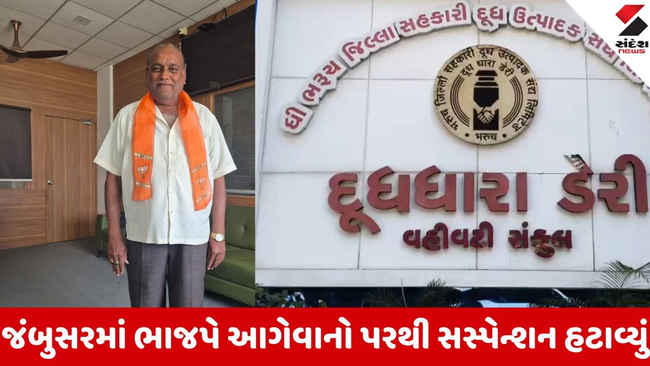 Local body Election 2026: દૂધધારા ડેરીની ચૂંટણીમાં બગાવત કરનારા જંબુસરના 6 આગેવાનોનું સસ્પેન્શન રદ, ભાજપ સંગઠન ફરી મજબૂત 