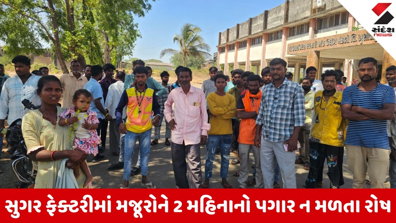 Tapi News: વ્યારાની ઉકાઈ સુગર ફેક્ટરીમાં વિરોધ પ્રદર્શન, 2 મહિનાથી મજૂરોનો પગાર ન મળતા ઓફિસ બહાર અડિંગો 
