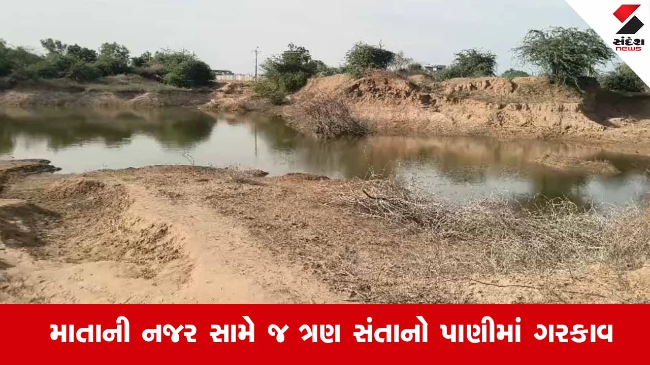 Tharad News: ડોડગામમાં કાળજું ધ્રુજાવી દેતી ઘટના, તળાવમાં ડૂબી જવાથી એક જ પરિવારના ત્રણ ભાઈ-બહેનોના કરુણ મોત 