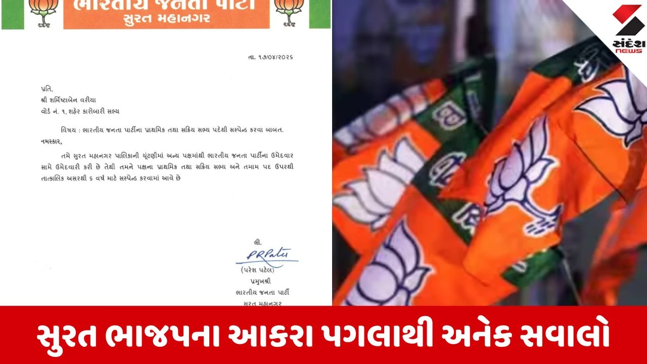 Local body election 2026: સ્થાનિક સ્વરાજ્યની ચૂંટણી વચ્ચે ભાજપનો આકરો નિર્ણય, શર્મિષ્ઠા વરિયા અને ધ્રુમિલ પટેલ પક્ષમાંથી સસ્પેન્ડ