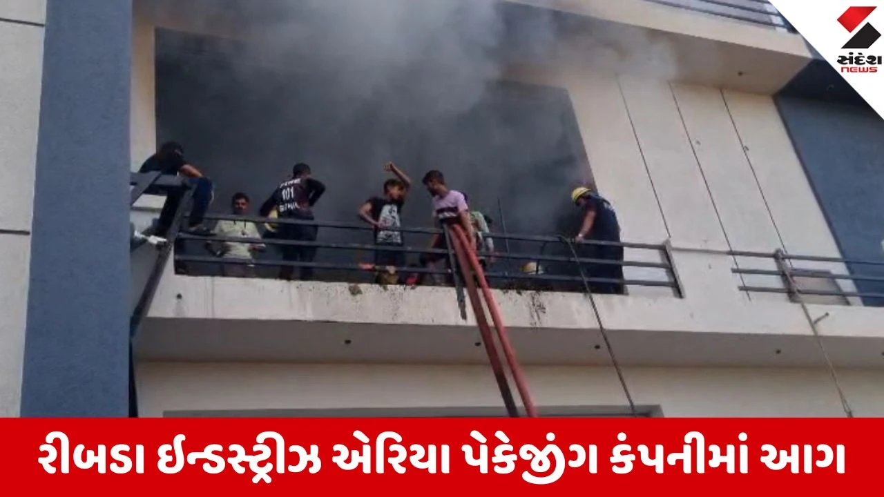 Rajkot: રીબડા ઈન્ડસ્ટ્રીઝ એરિયાની પેકેજિંગ કંપનીમાં ભીષણ આગ, માલ-સામાન બળીને ખાખ