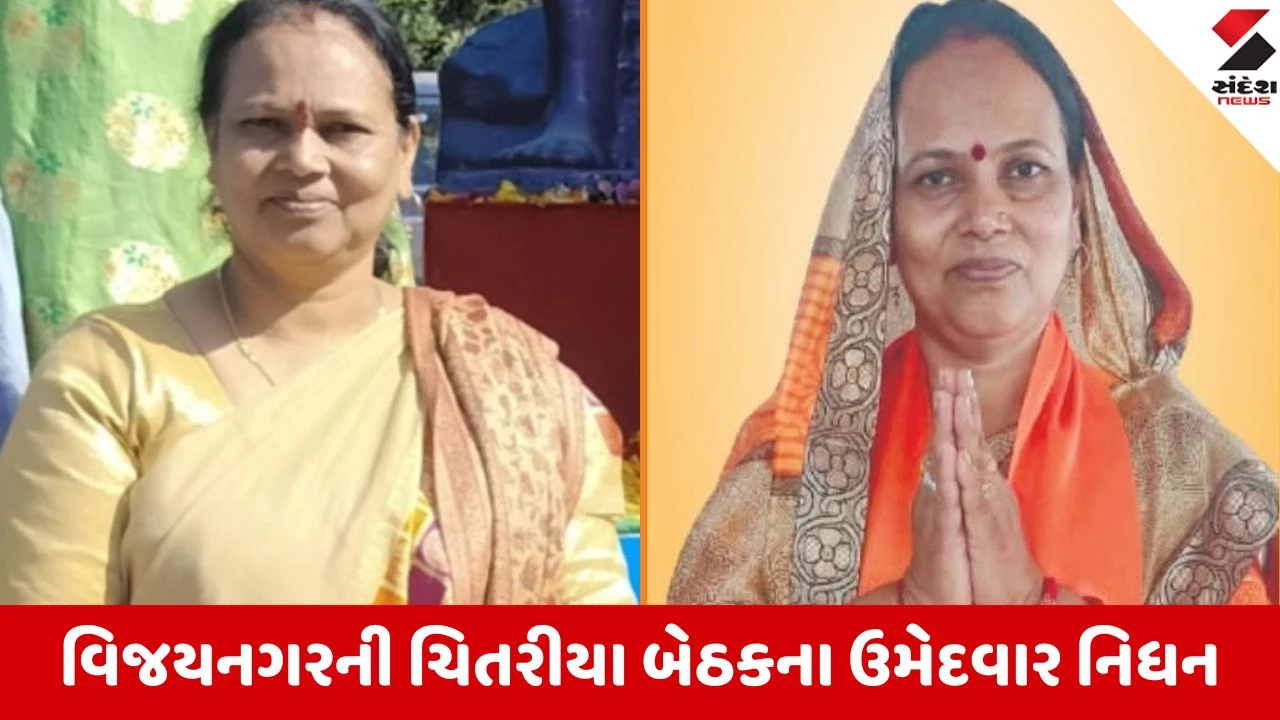 Local body election 2026: ચિતરીયા બેઠકના મહિલા ઉમેદવારનું મોત થતા રાજકારણમાં ગમગીની 
