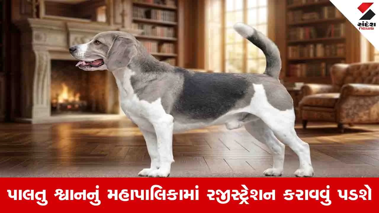 Gandhinagar News: કોર્પોરેશન દ્વારા પેટ ડોગ રજીસ્ટ્રેશન ફીમાં વધારો, જાણો કેટલા રૂપિયા ચૂકવવા પડશે.