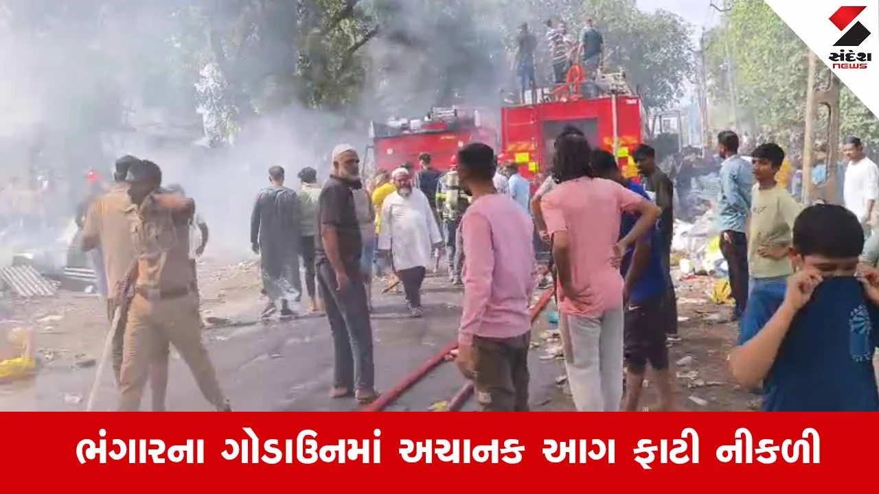 Vadodara News: કરજણના વલણ ગામે ભંગારના ગોડાઉનમાં લાગી ભીષણ આગ 