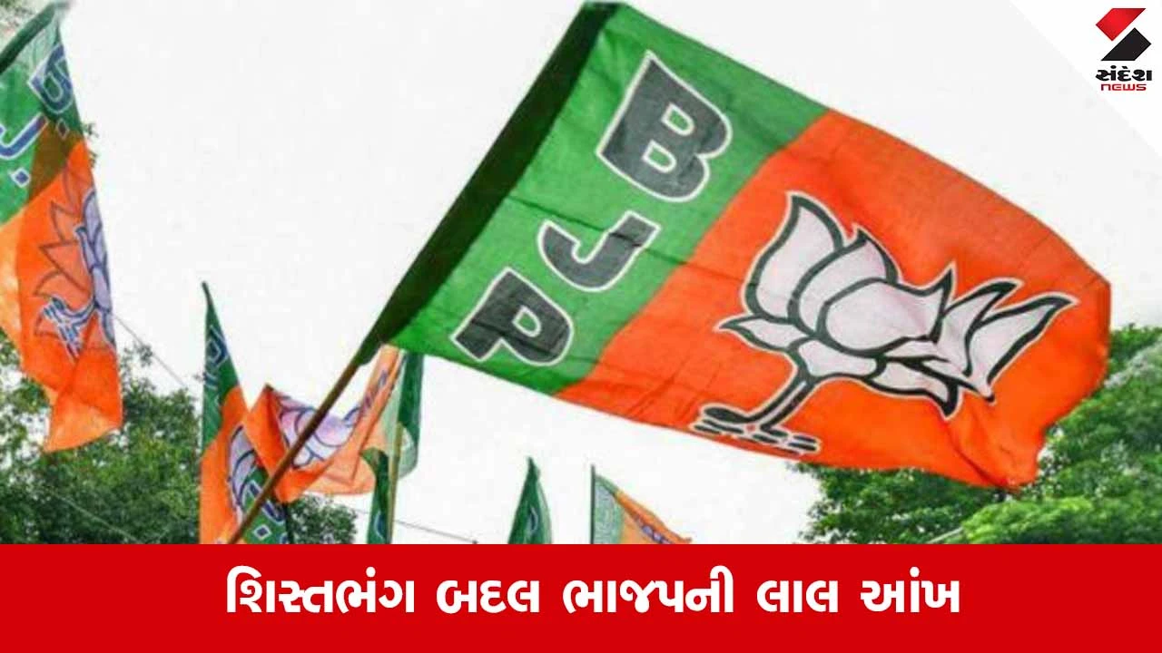 Dahod News: પક્ષના મેન્ડેટ સામે બળવો કરવો ભારે પડ્યો, ઝાલોદના બે હોદ્દેદારોને ભાજપે 5 વર્ષ માટે કર્યા સસ્પેન્ડ 