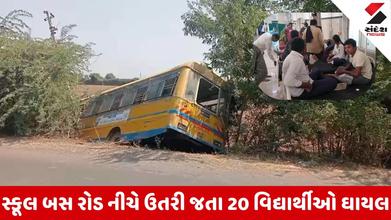 Amreli News: ધારીના ગોપાલગ્રામ નજીક સ્કૂલ બસ રોડ નીચે ઉતરી જતા અકસ્માત, 20 વિદ્યાર્થીઓ ઈજાગ્રસ્ત 